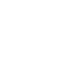 Skale Icon